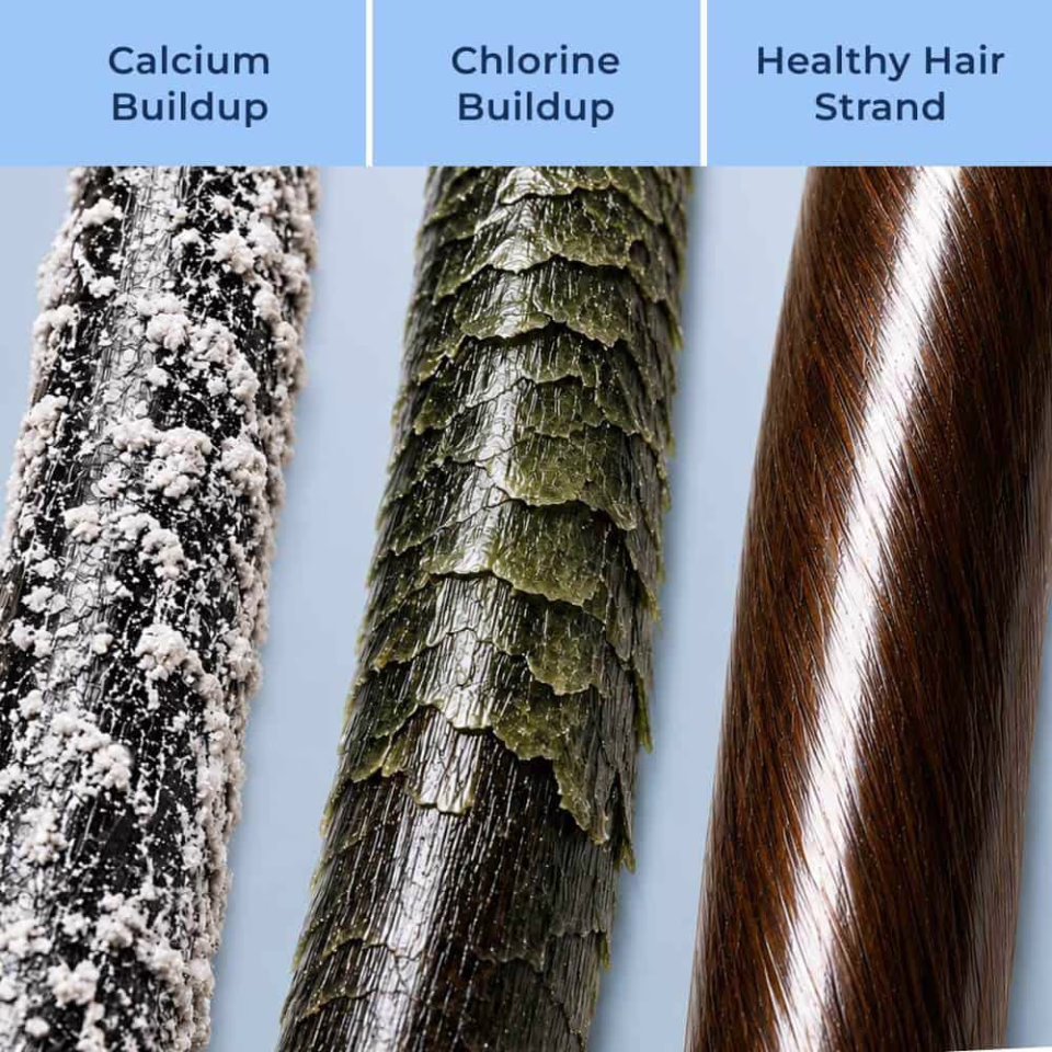 Comparaison de cheveux exposés à une eau calcaire et chlorée
